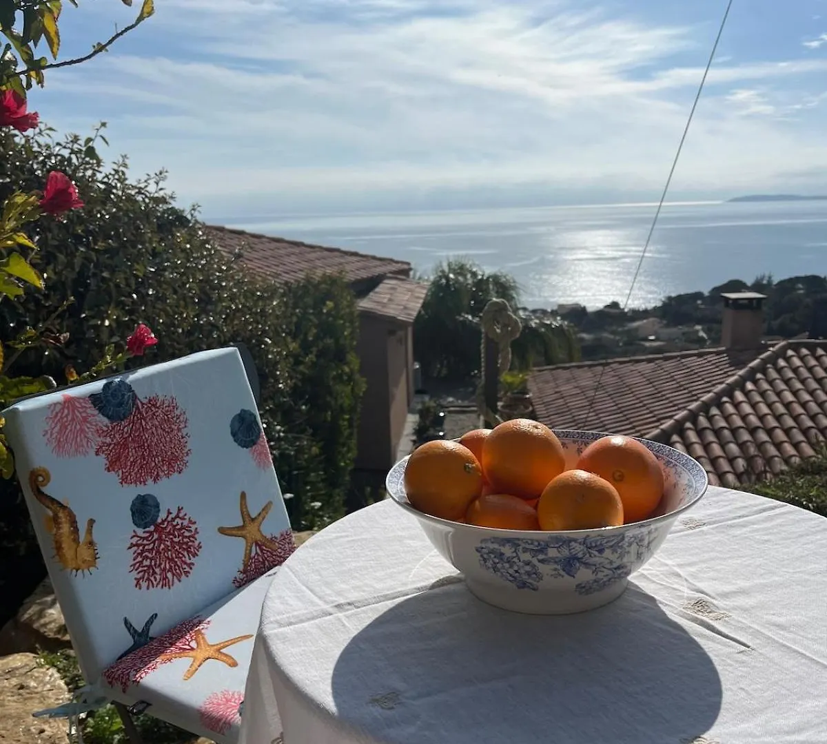 Homestay Vue Epoustouflante Sur La Mer Le Lavandou