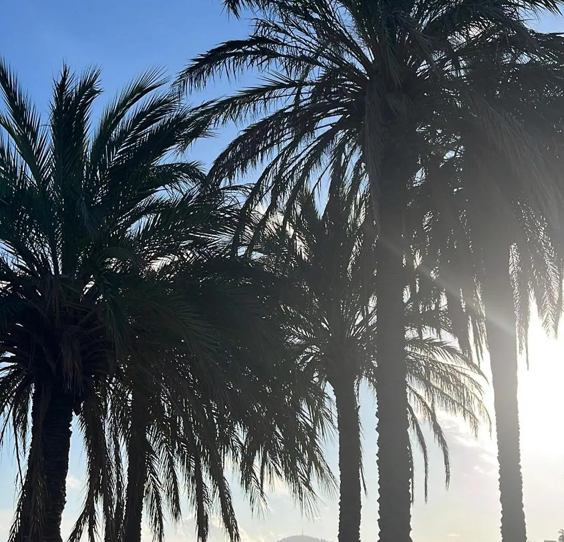 Vue Epoustouflante Sur La Mer Le Lavandou Rum i privatbostad